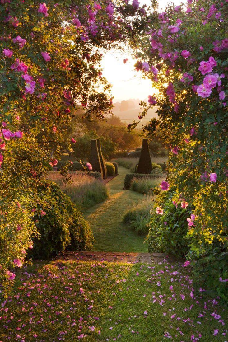 Enchanted Meadow Floral Harmony